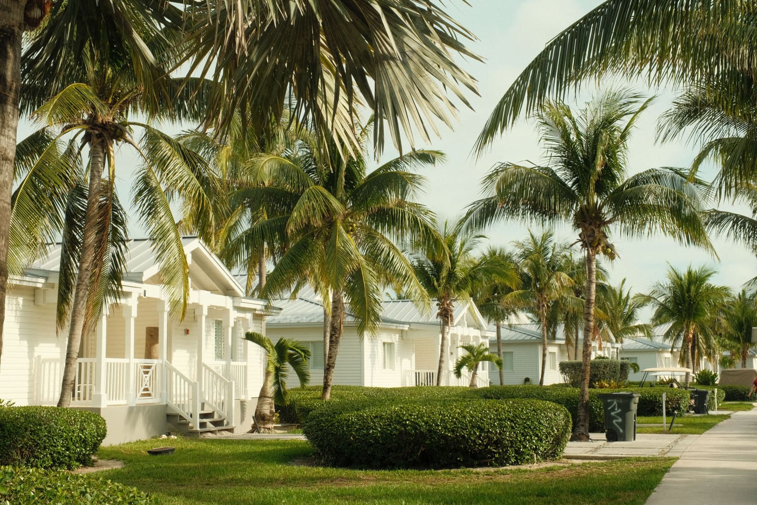 White cottages lined with palm trees in a lifestyle community